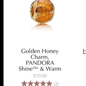Pandora shine collection charm